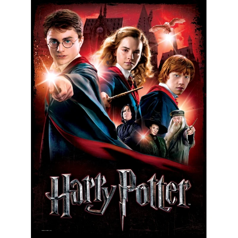 Hogwarts School - Poster Puzzle