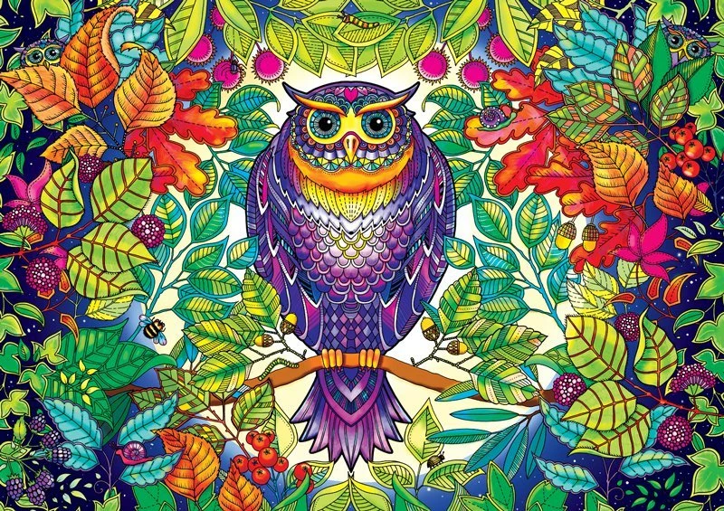 Forest Owl, Johanna Basford - Includes Poster to Color!