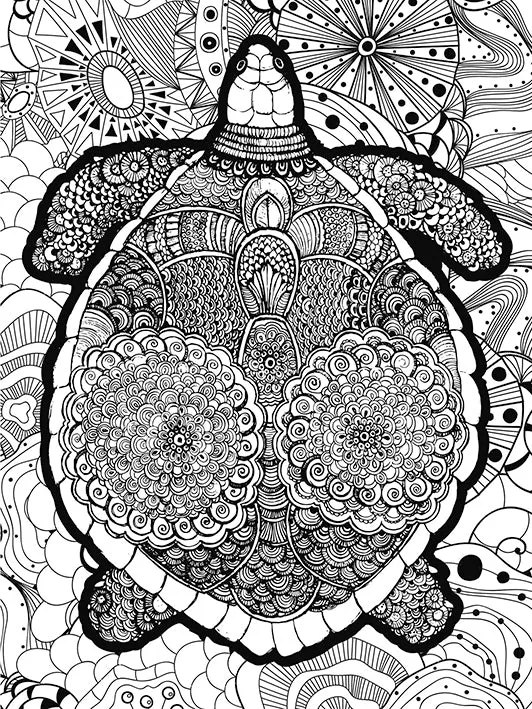 Coloring Puzzle - Turtle