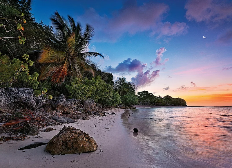 Tropical Idyll