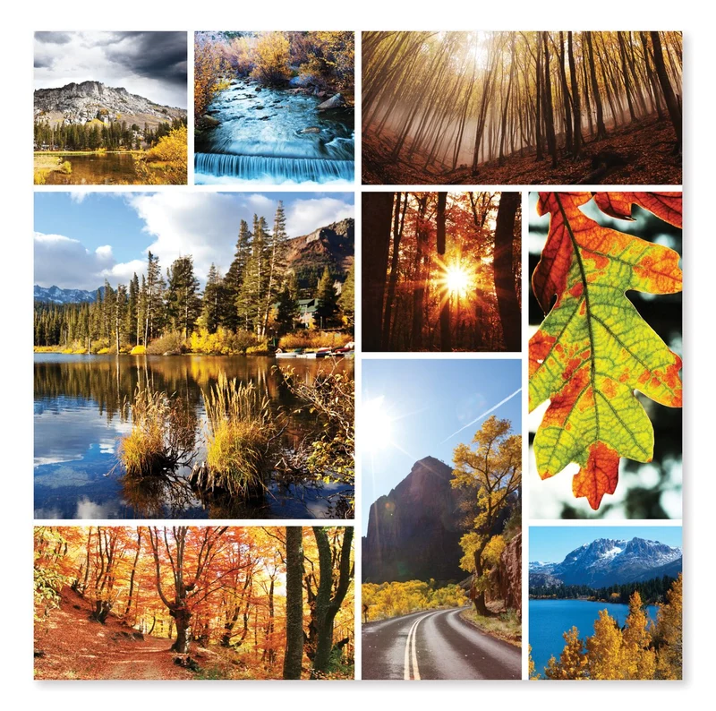 Autumn Snapshots