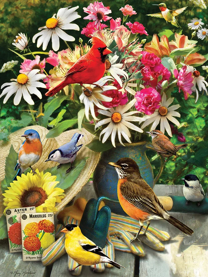 Garden Birds, Greg Giordano
