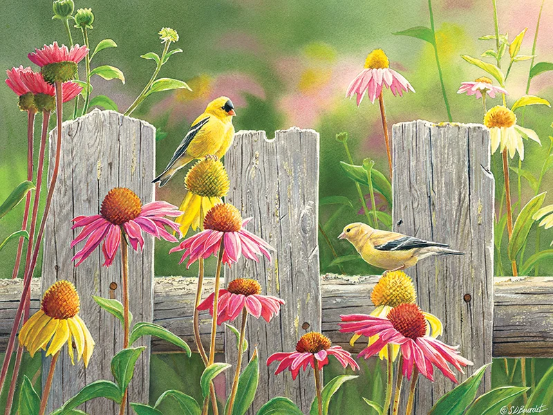 Pink and Gold, Susan Bourdet