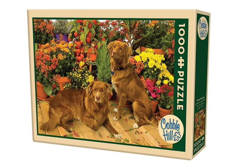 Duck Tollers
