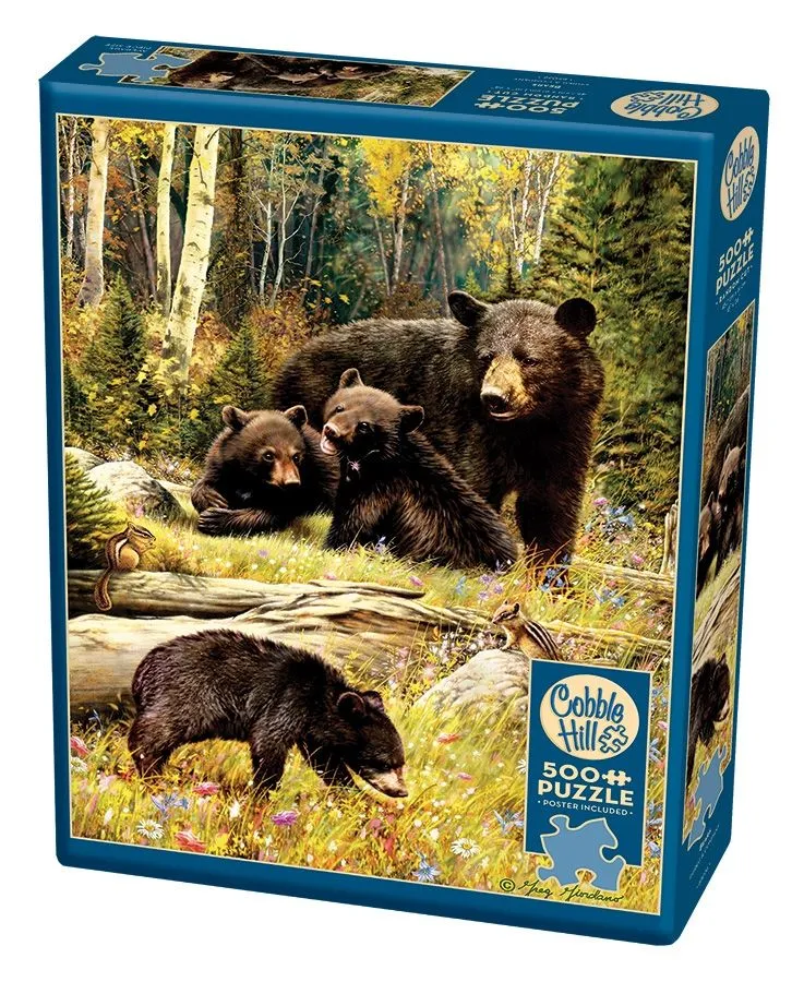 Bears, Greg Giordano