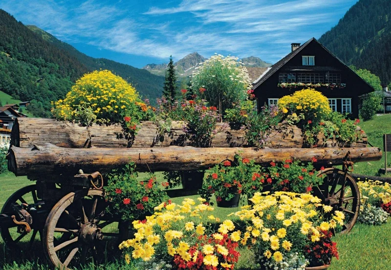 Alpine Flowers