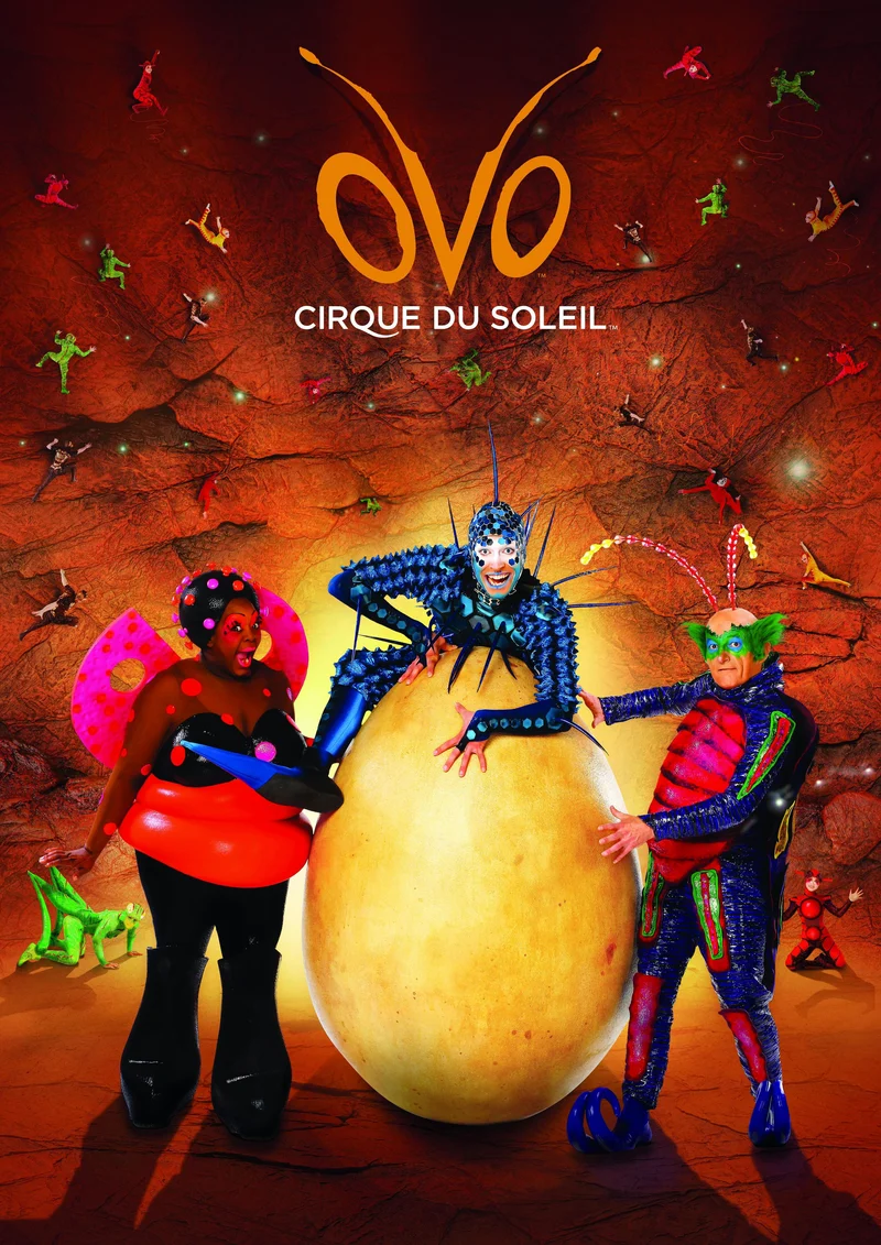 Ovo, Cirque du Soleil