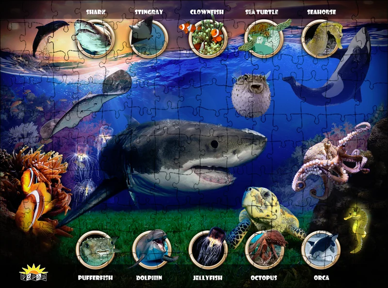 Undersea Interactive Puzzle