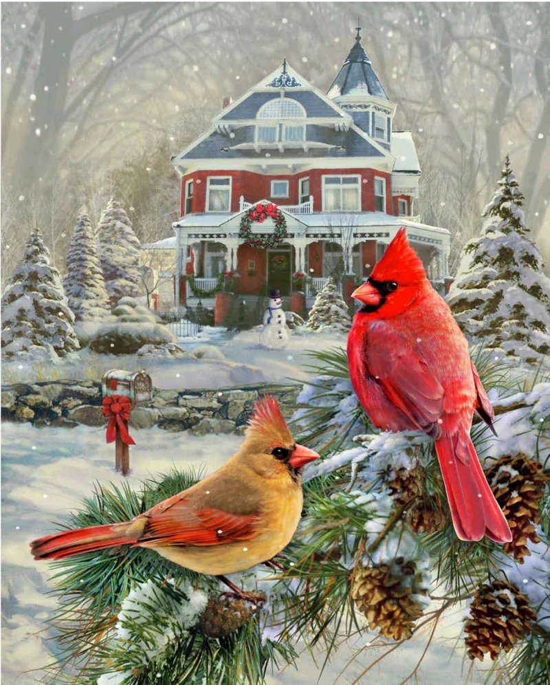 Cardinal Holiday Retreat, Greg Giordano