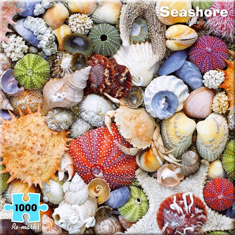 Seashore