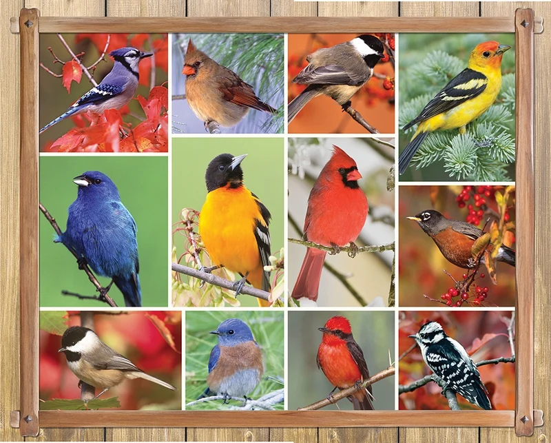 Songbirds