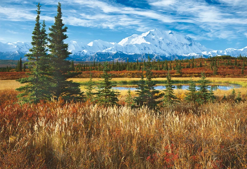Denali National Park, USA