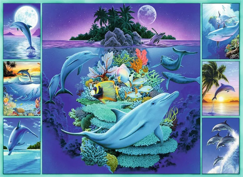 Ravensburger Dolphin Collage, Robin Koni