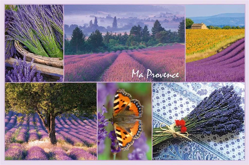 Ravensburger Provence