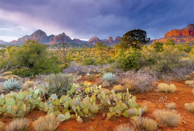 Red Rusk Dust, Arizona (Coucher de Soleil, Arizona)