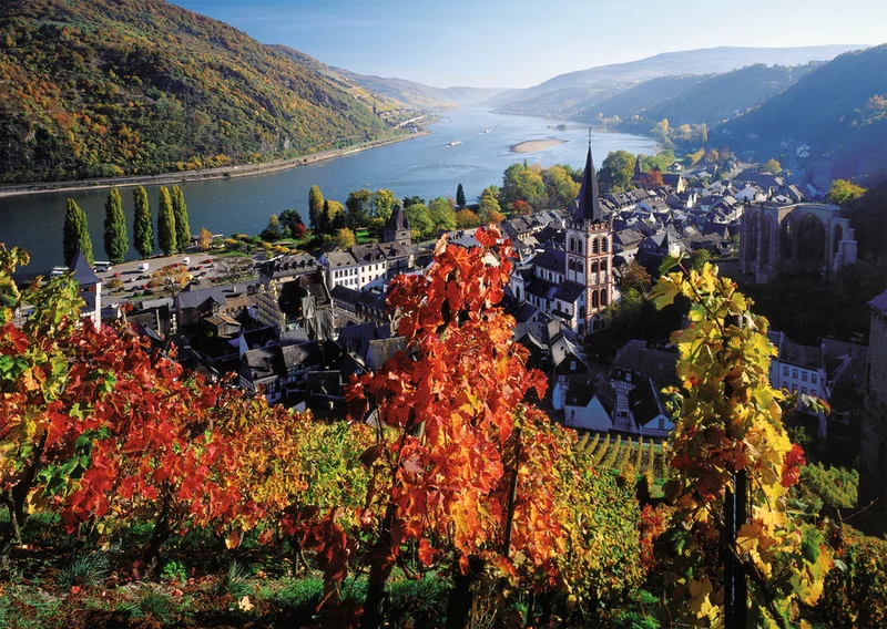 Ravensburger On the River Rhine