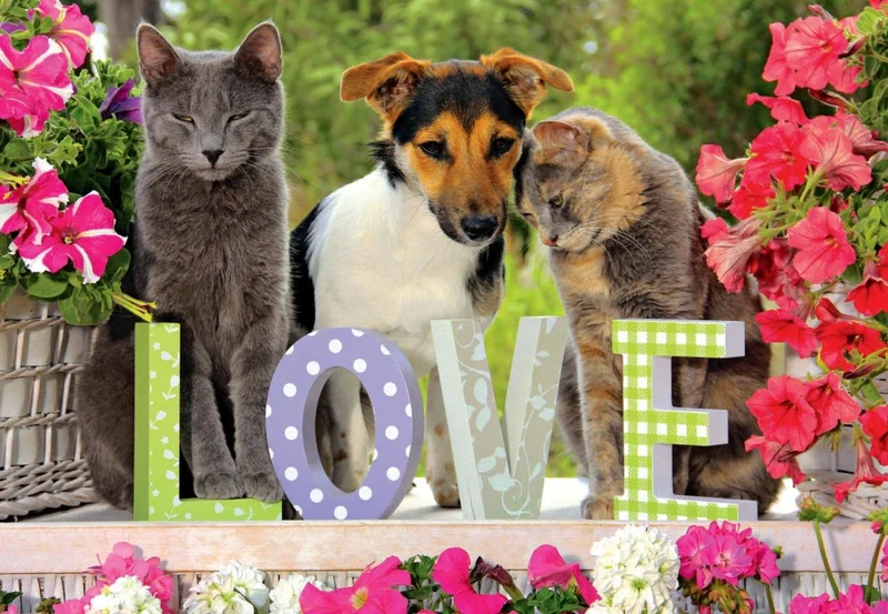 True Love