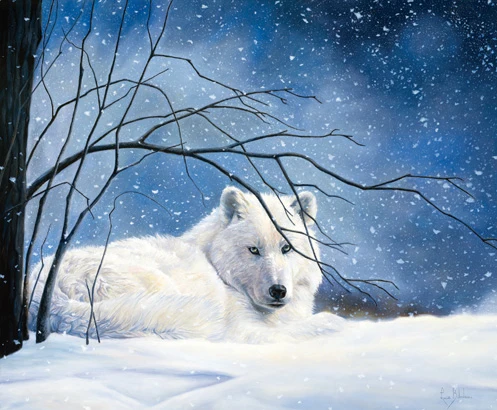 Snowy