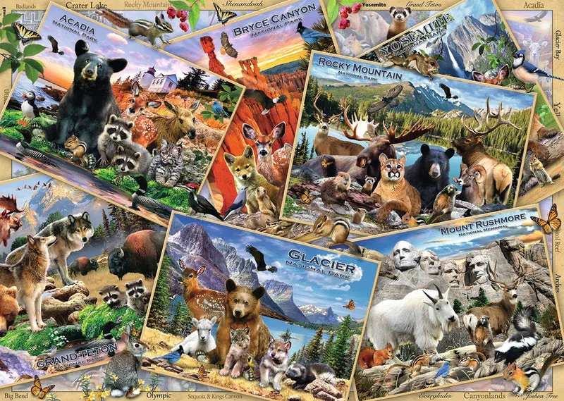 Ravensburger Park Pals, Howard Robinson