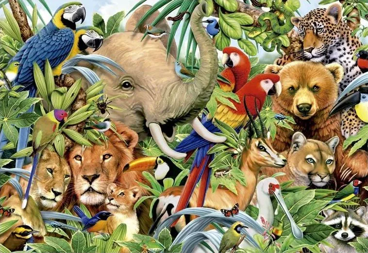 Animal World, Howard Robinson