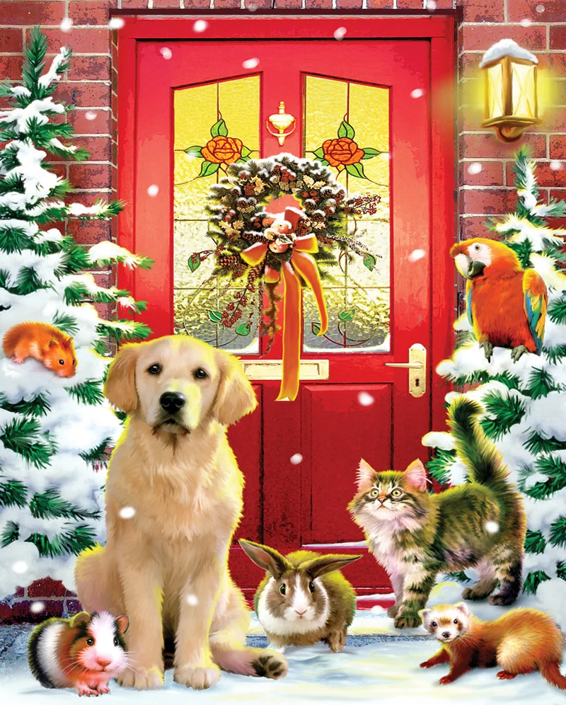 Christmas Welcome, Howard Robinson