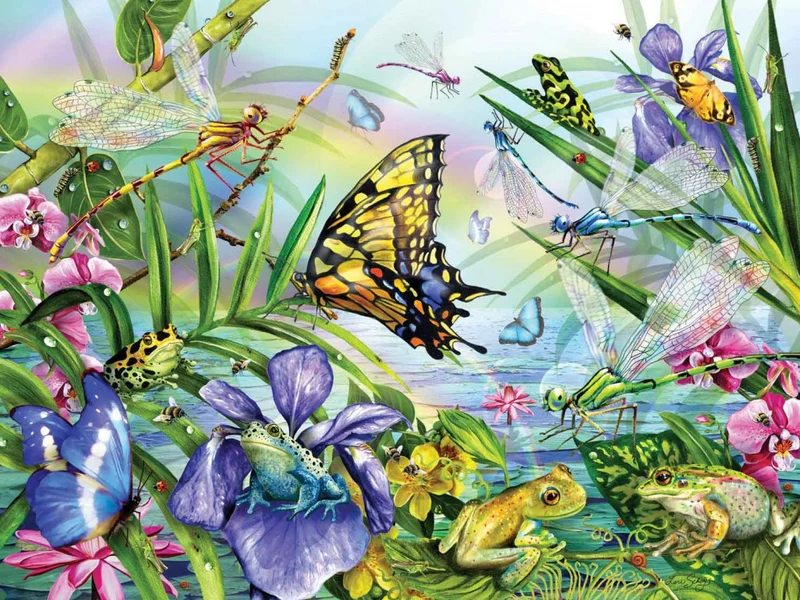 Dragonfly Dance, Lori Schory
