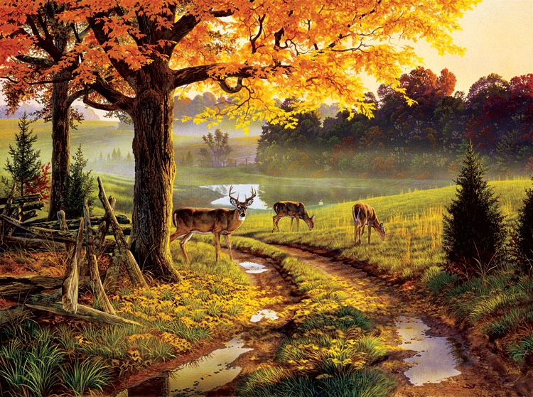 A Bend in the Road
