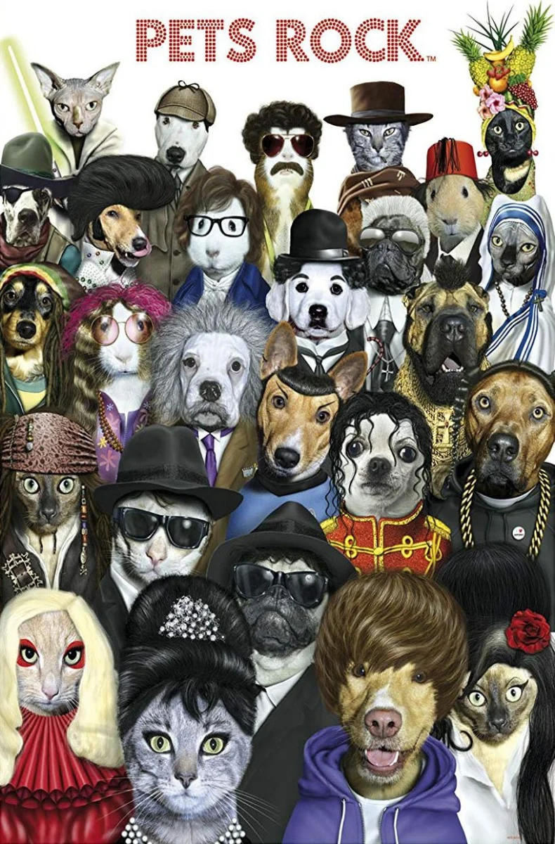 Pets Rock