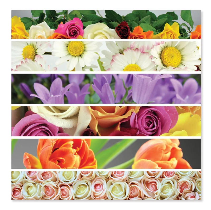 Flower Ribbons