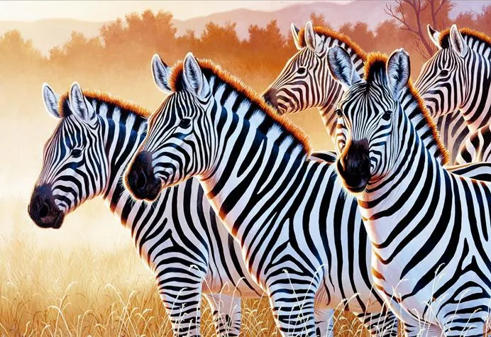 Zebras