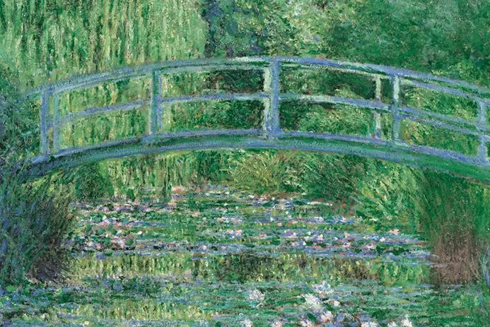 The Water Lily Pond