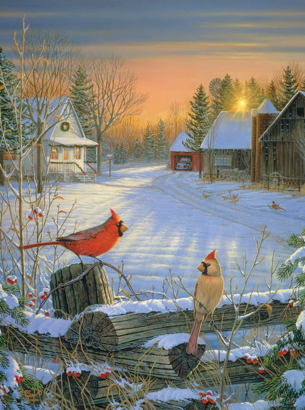 Winter Afternoon, Sam Timm