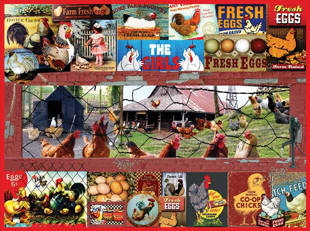 Don't Count Your Chickens, Lois B. Sutton