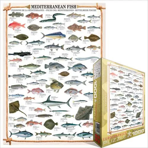 Mediterranean Fish