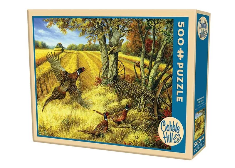 Ring-necked Pheasants, Linda Picken