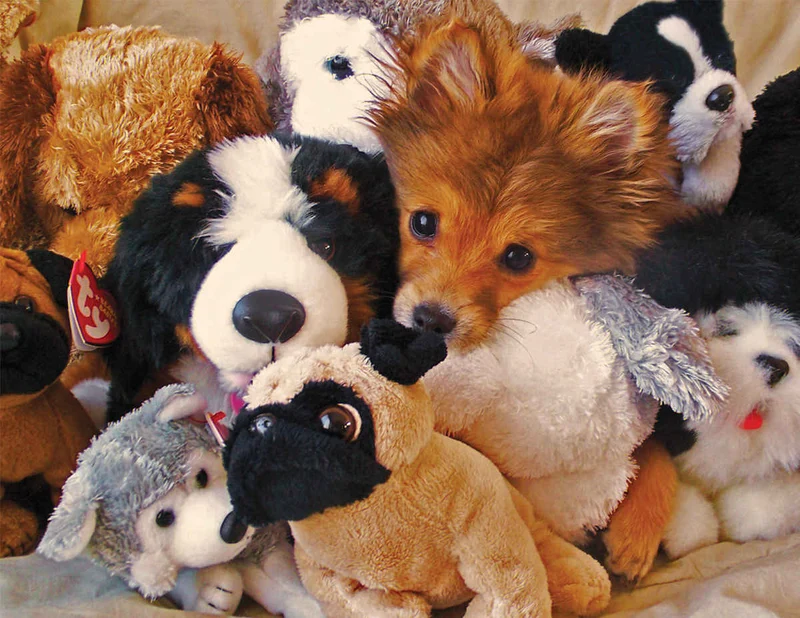 Playtime Puppies (Family Puzzle)