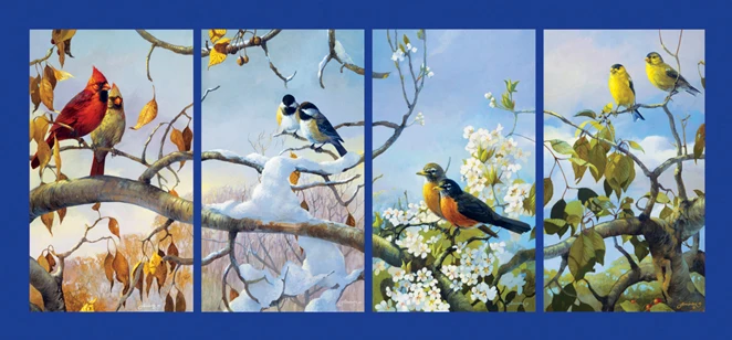 The Seasons