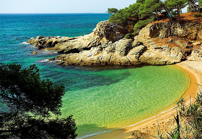 The Mysterious Bay