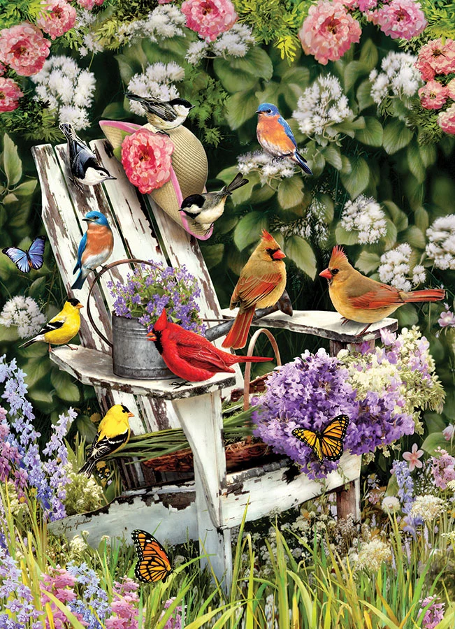 Summer Adirondack Birds