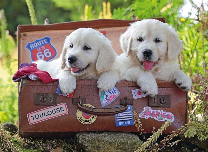 Ravensburger Traveling Pups