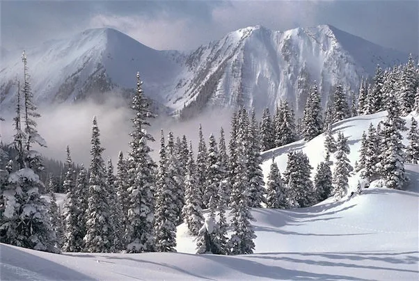 Snowy Winter