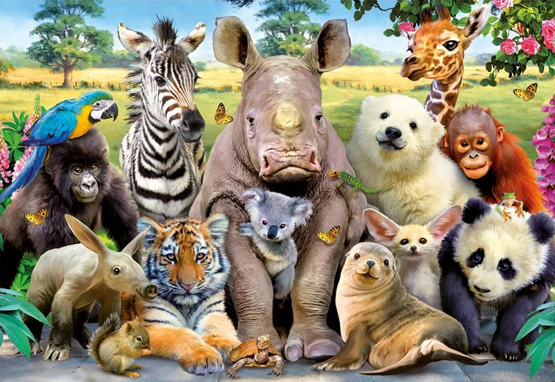 It's a Class Photo, Howard Robinson