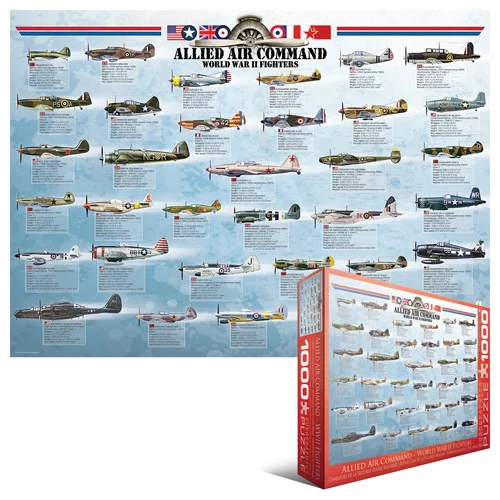Allied Air Command WWII Fighter