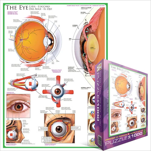 The Eye