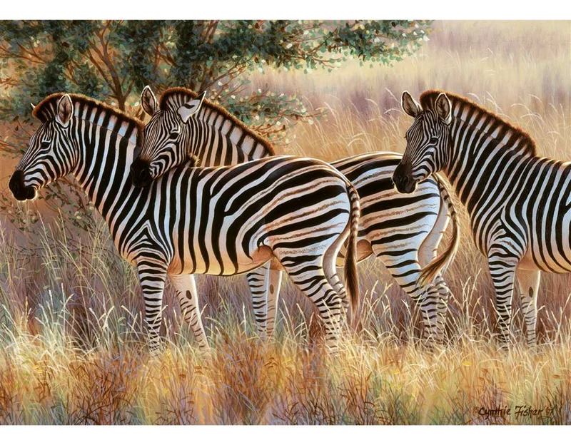 Ravensburger Beautiful Zebras