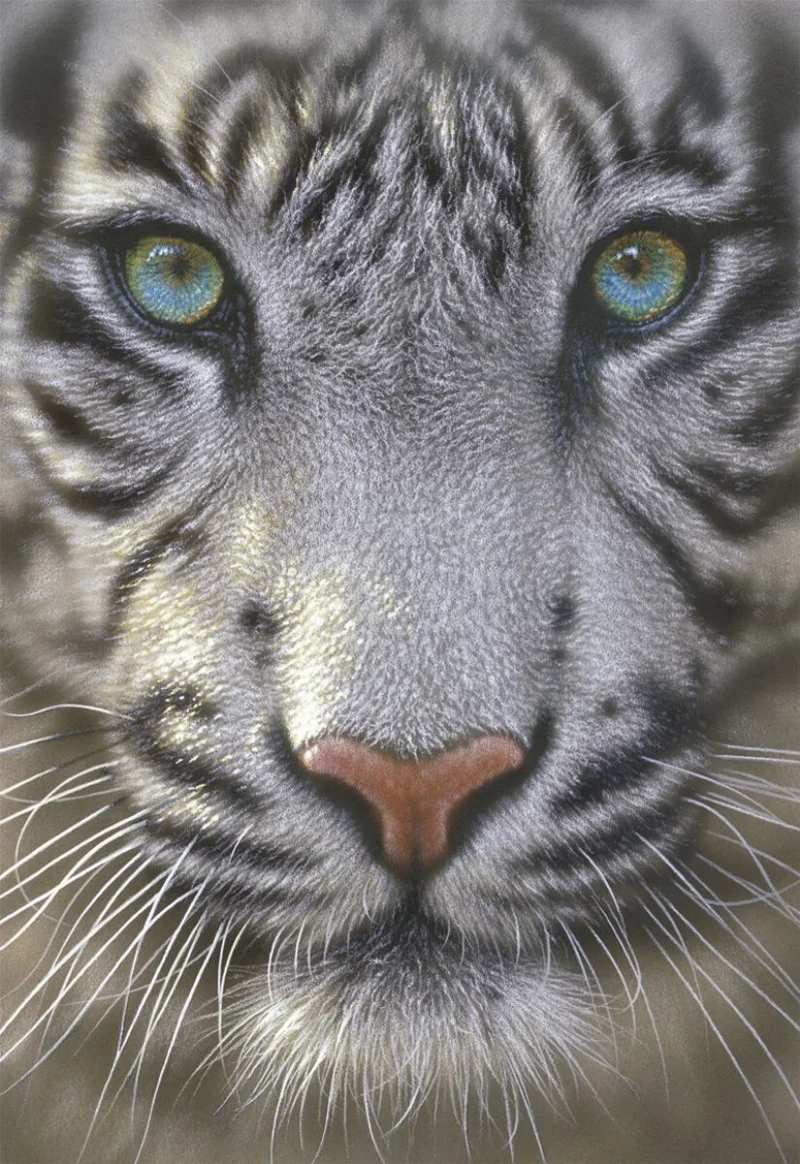 White Tiger, Collin Bogle