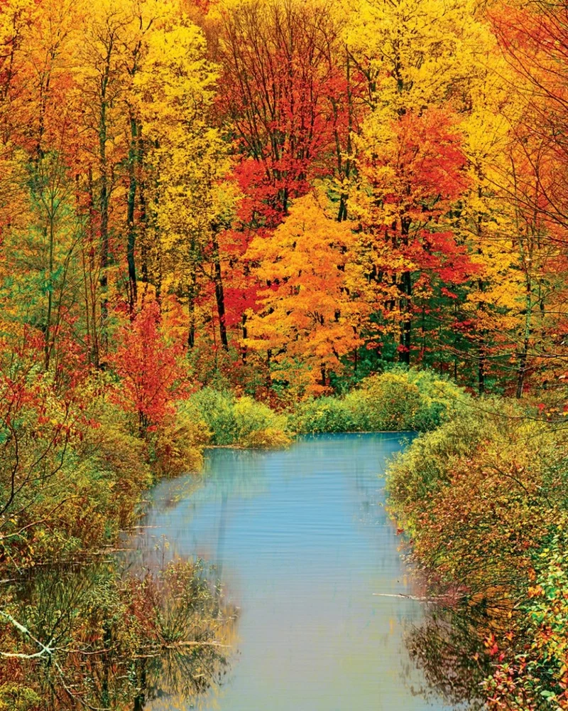 Autumn Reflection