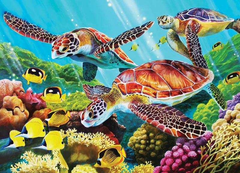 Sea Turtle Promenade